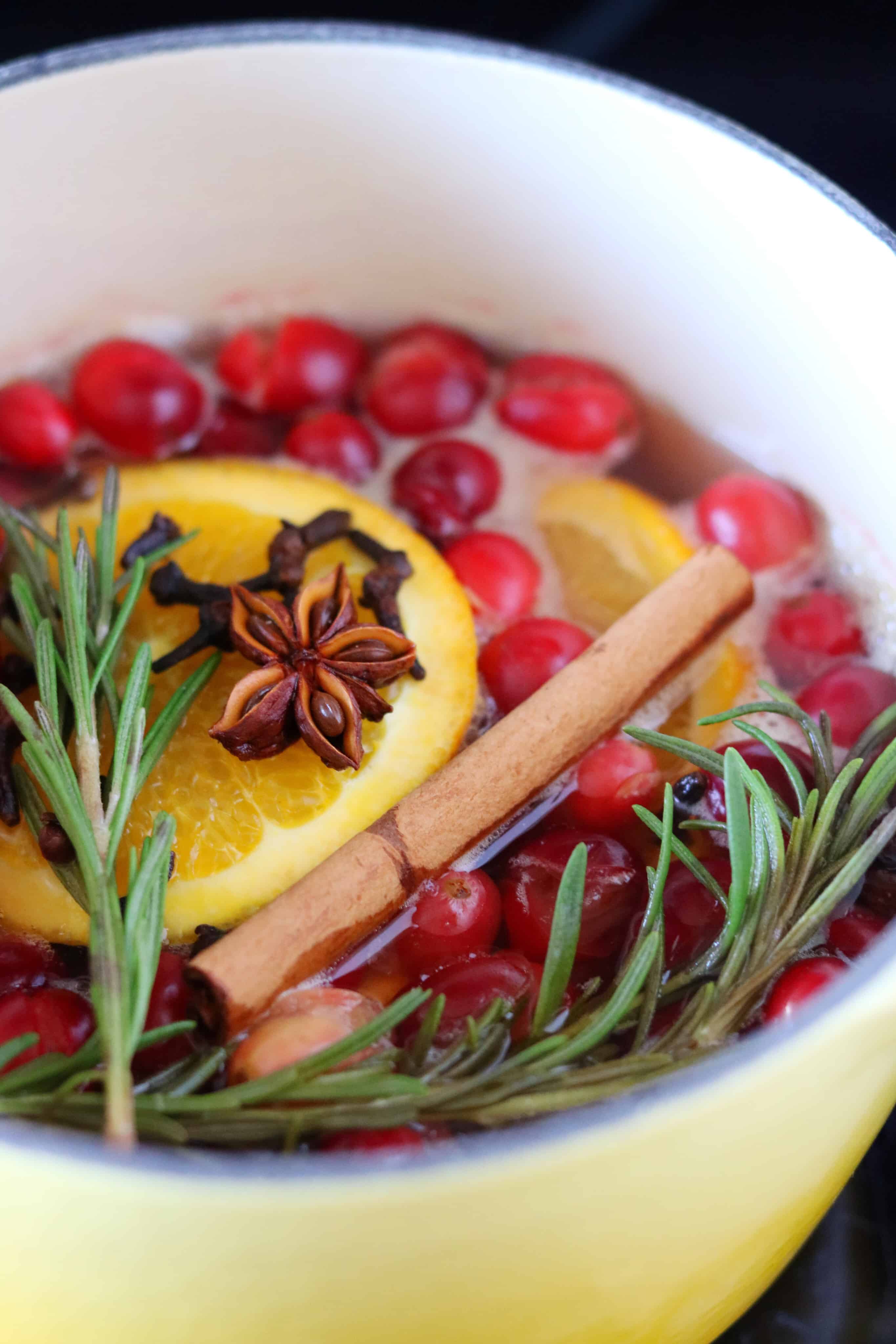 Holiday Stove Top Potpourri - Recipey By My Name Is Snickerdoodle