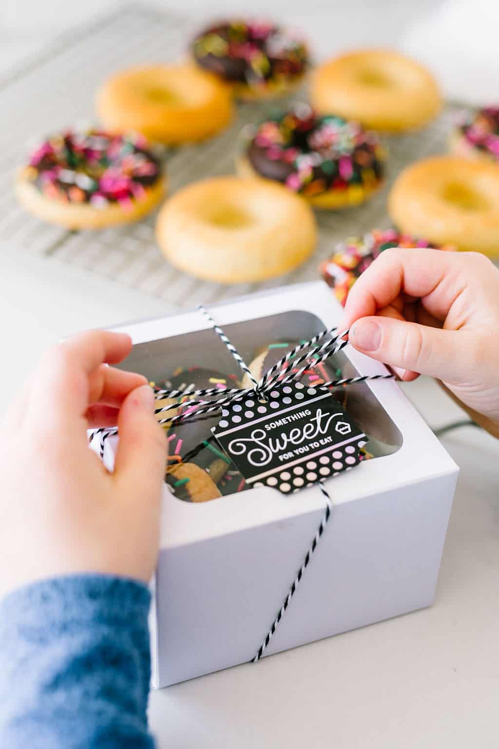 Baked Vegan Cake Donuts gift idea